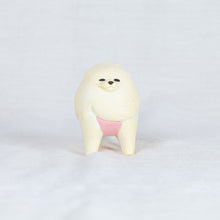 Load image into Gallery viewer, montomi - Pomeranian that faces strong wind