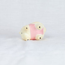 Load image into Gallery viewer, montomi - Pomeranian that faces strong wind