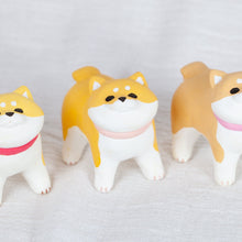Load image into Gallery viewer, montomi - Different shades of Shiba