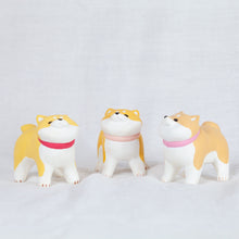 Load image into Gallery viewer, montomi - Different shades of Shiba