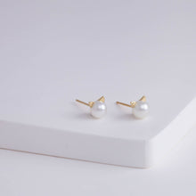 Load image into Gallery viewer, Cat akoya pearl stud