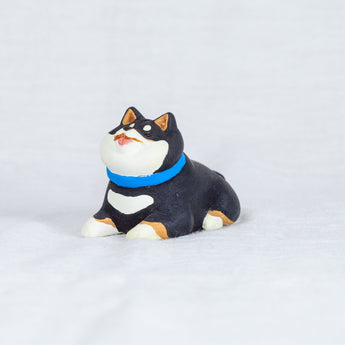 montomi - Black Shiba