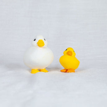montomi - Duck with duckling