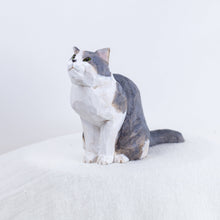 Load image into Gallery viewer, Ryoji Bannai - #2512 Mackerel tabby and white sitting cat
