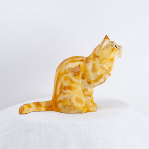 Ryoji Bannai - #2517 Orange American Shorthair sitting cat