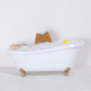 Fluffy - Pomeranian bath time