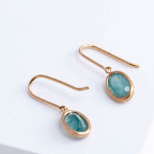 Load image into Gallery viewer, Grandidierite hook earrings
