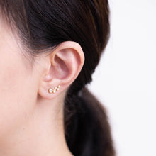 Load image into Gallery viewer, Puff small gradation diamond climber earring
