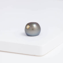 Load image into Gallery viewer, South sea black pearl ear cuff
