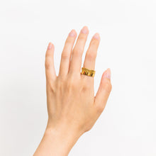Load image into Gallery viewer, Forelock short chain ring - Kolekto 
